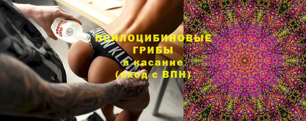 apvp Арсеньев