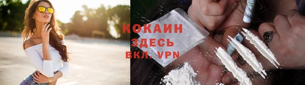 бошки Аркадак